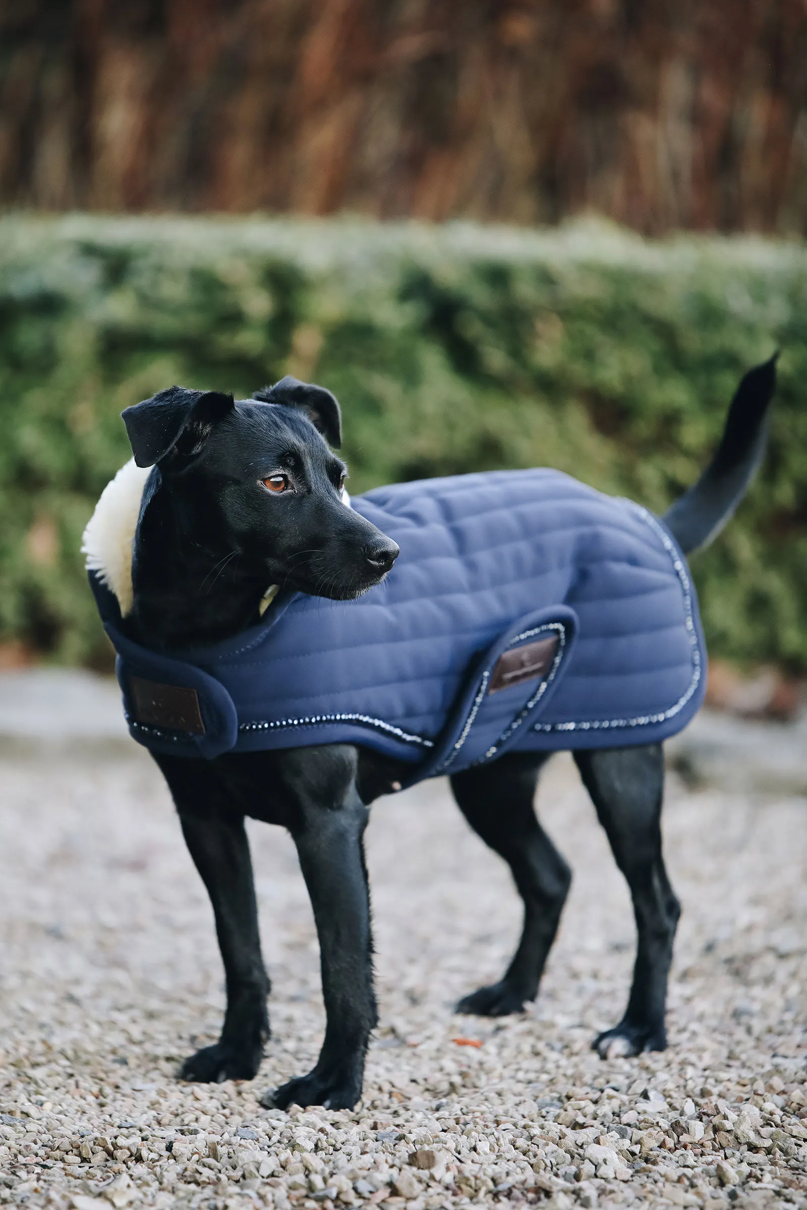 Cappotto per cani Kentucky Dogwear perle