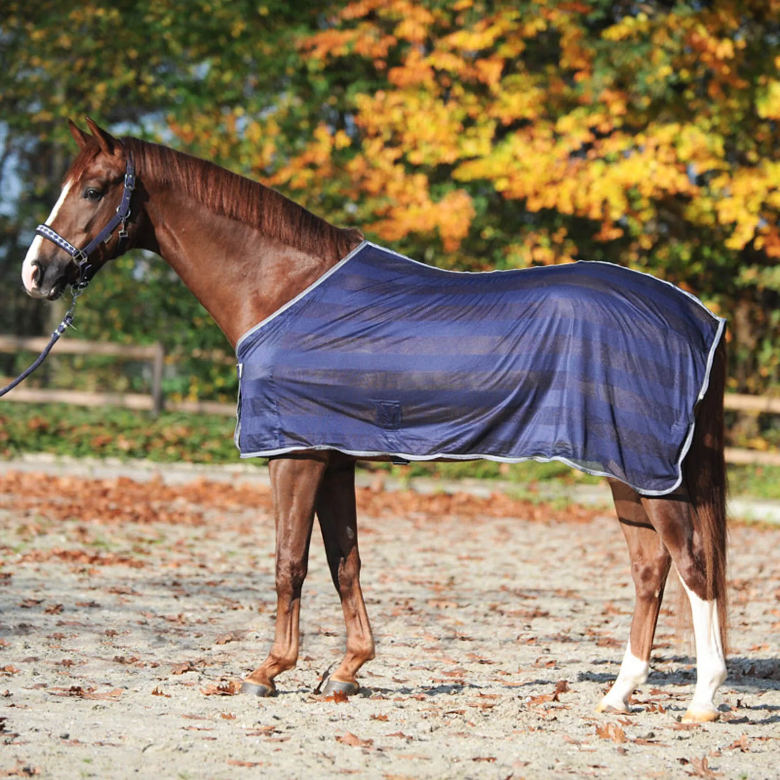 Coperta antimosche a righe Kavalkade