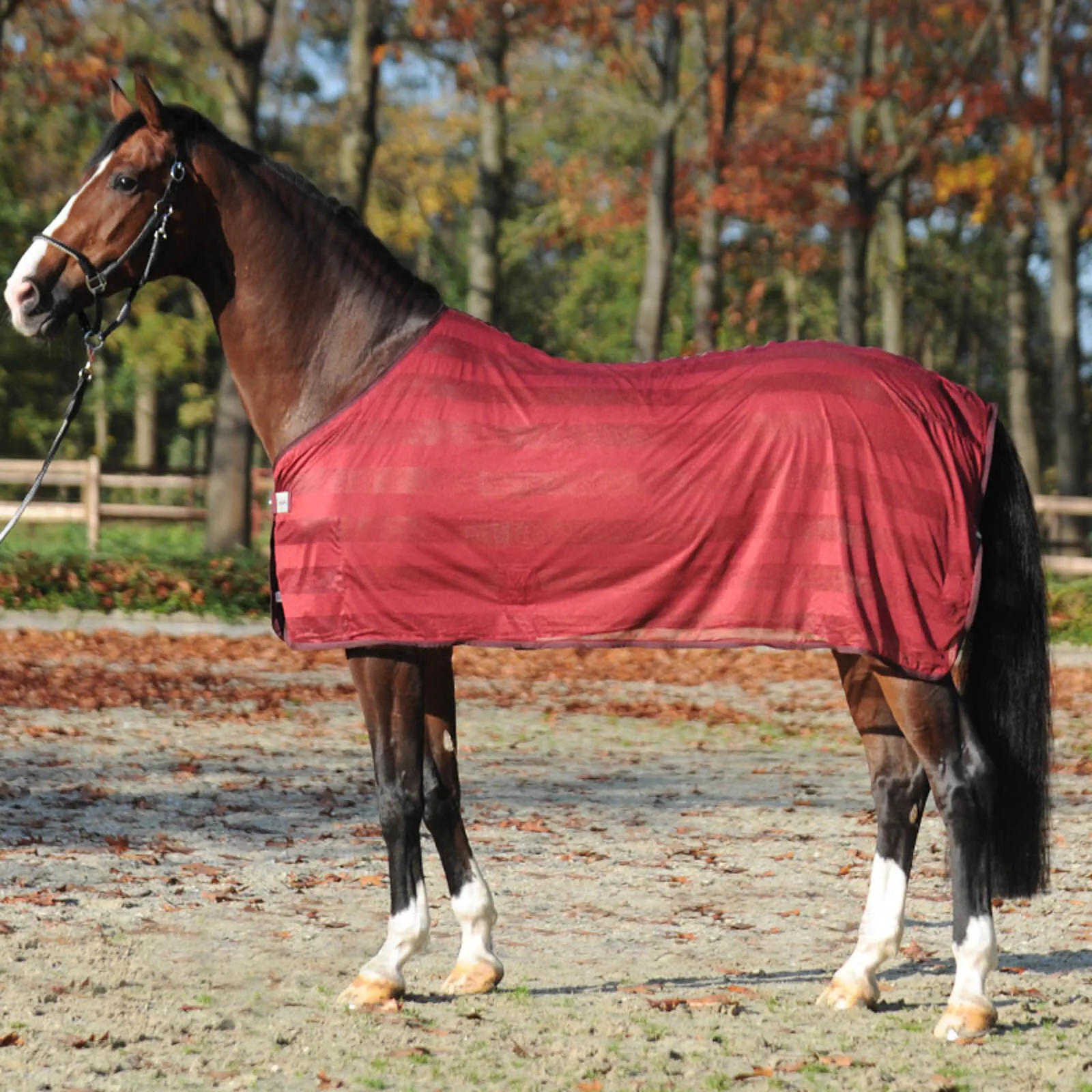 Coperta antimosche a righe Kavalkade