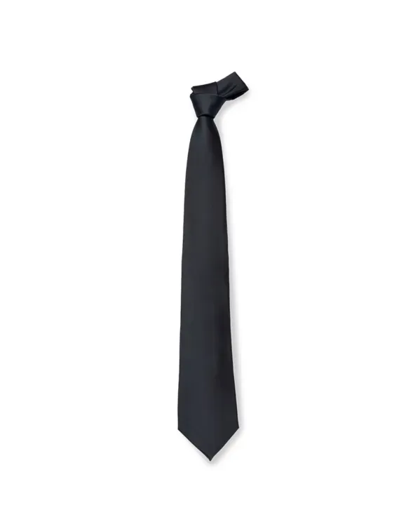 Cravatta da Lavoro 100% Poliestere Giblor's 511