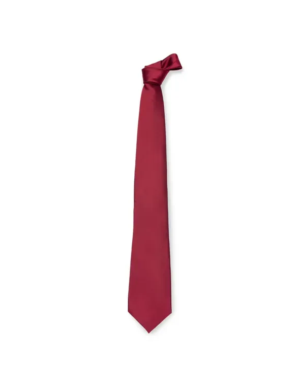 Cravatta da Lavoro 100% Poliestere Giblor's 511