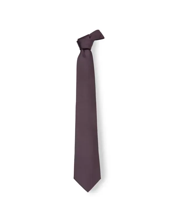 Cravatta da Lavoro 100% Poliestere Giblor's 511