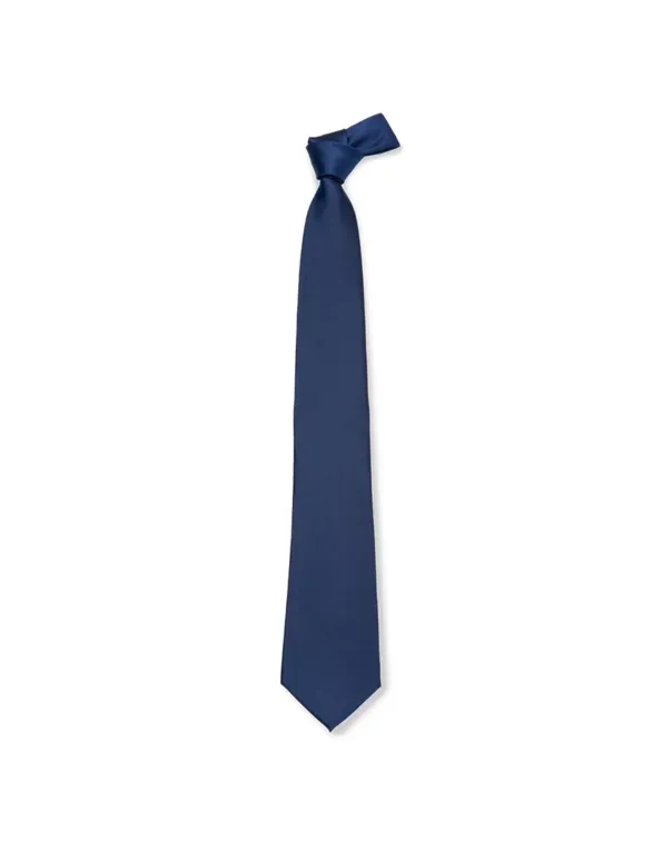 Cravatta da Lavoro 100% Poliestere Giblor's 511
