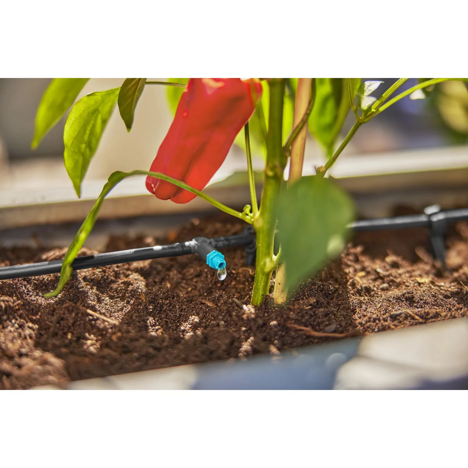 Gocciolatore in linea Gardena per tubi da 4,6 mm Micro-Drip-System 2 l/h