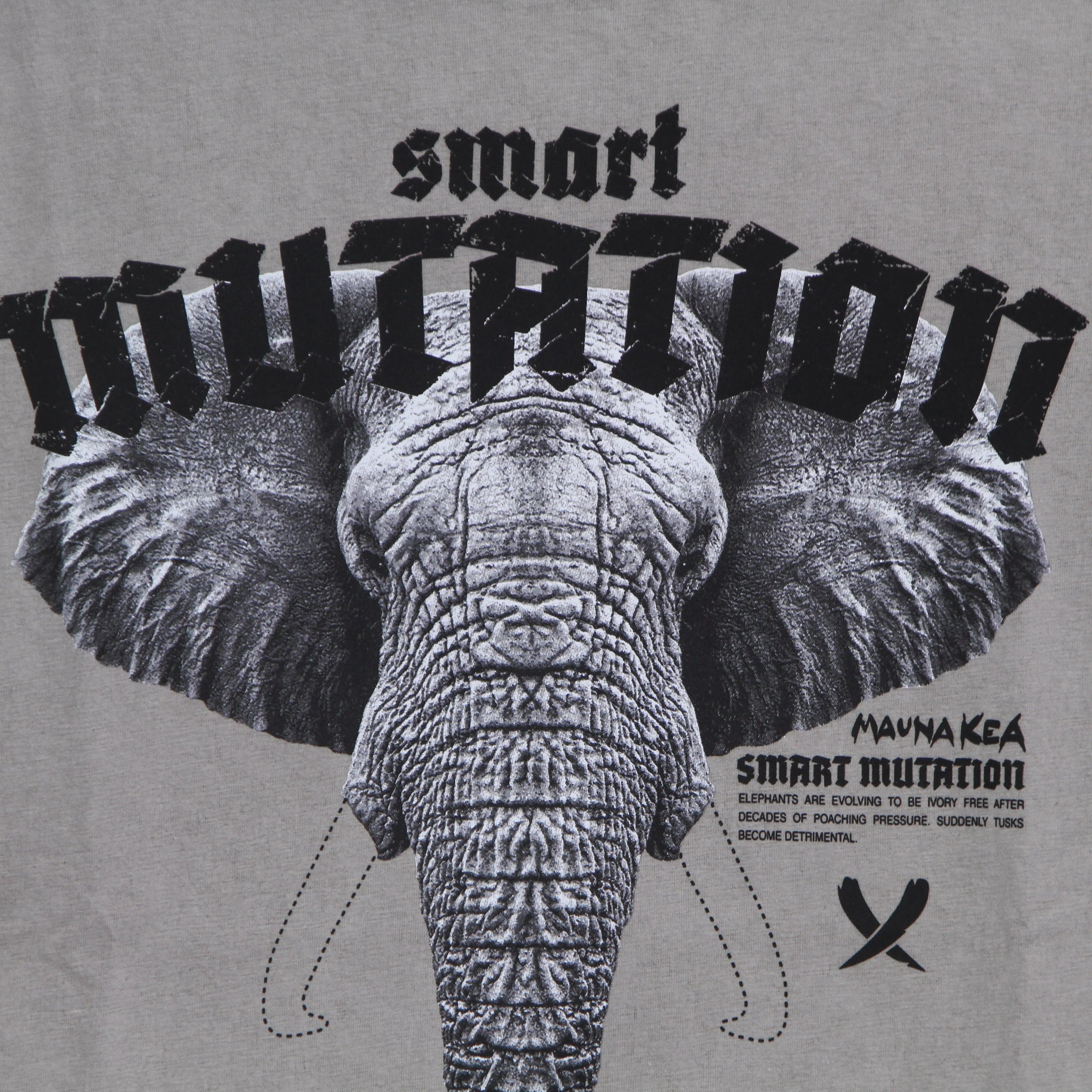 Maglietta Uomo Elephant Tee Stone Washed Dusty Grey