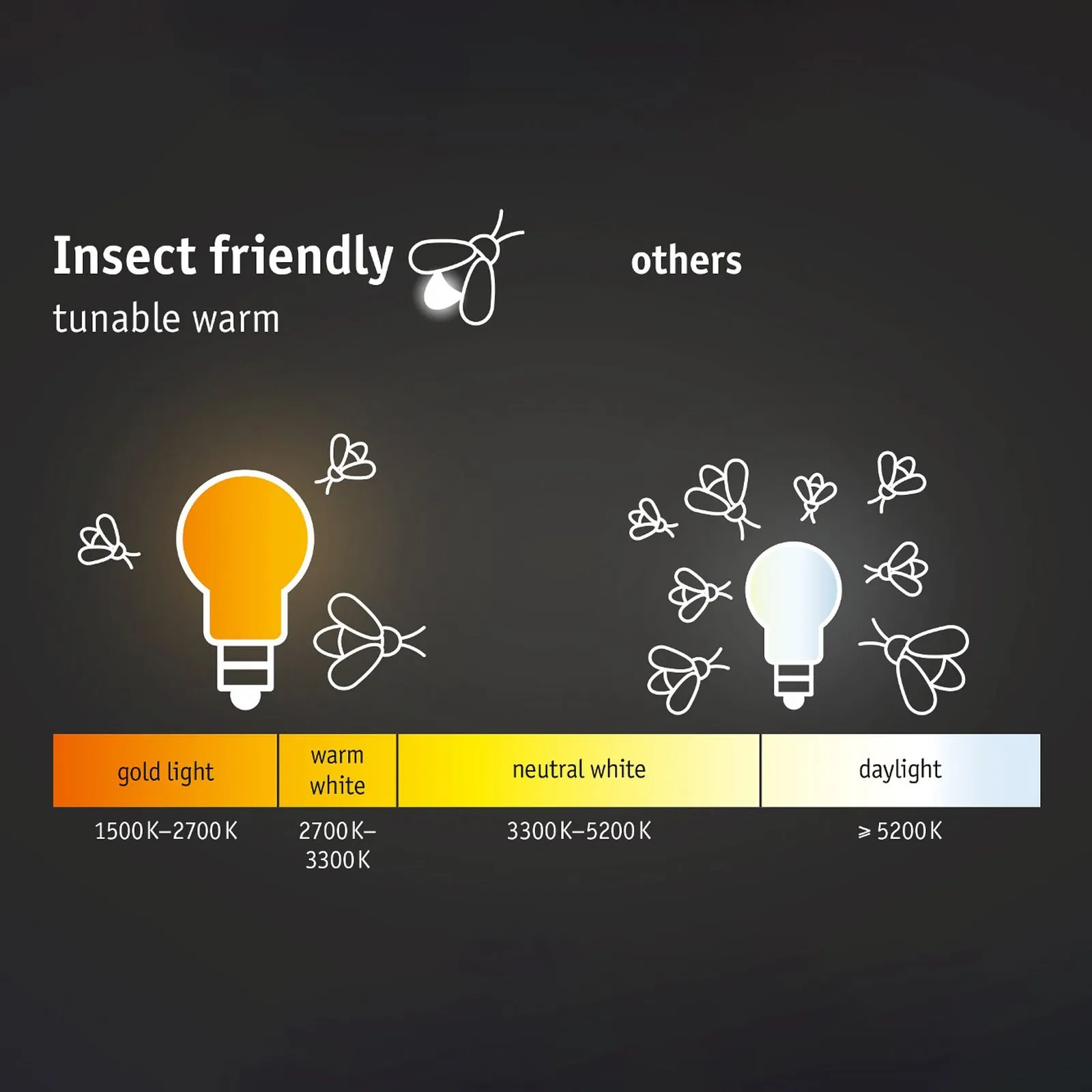 Paulmann Plug & Shine lampada da incasso a terra ZigBee CCT