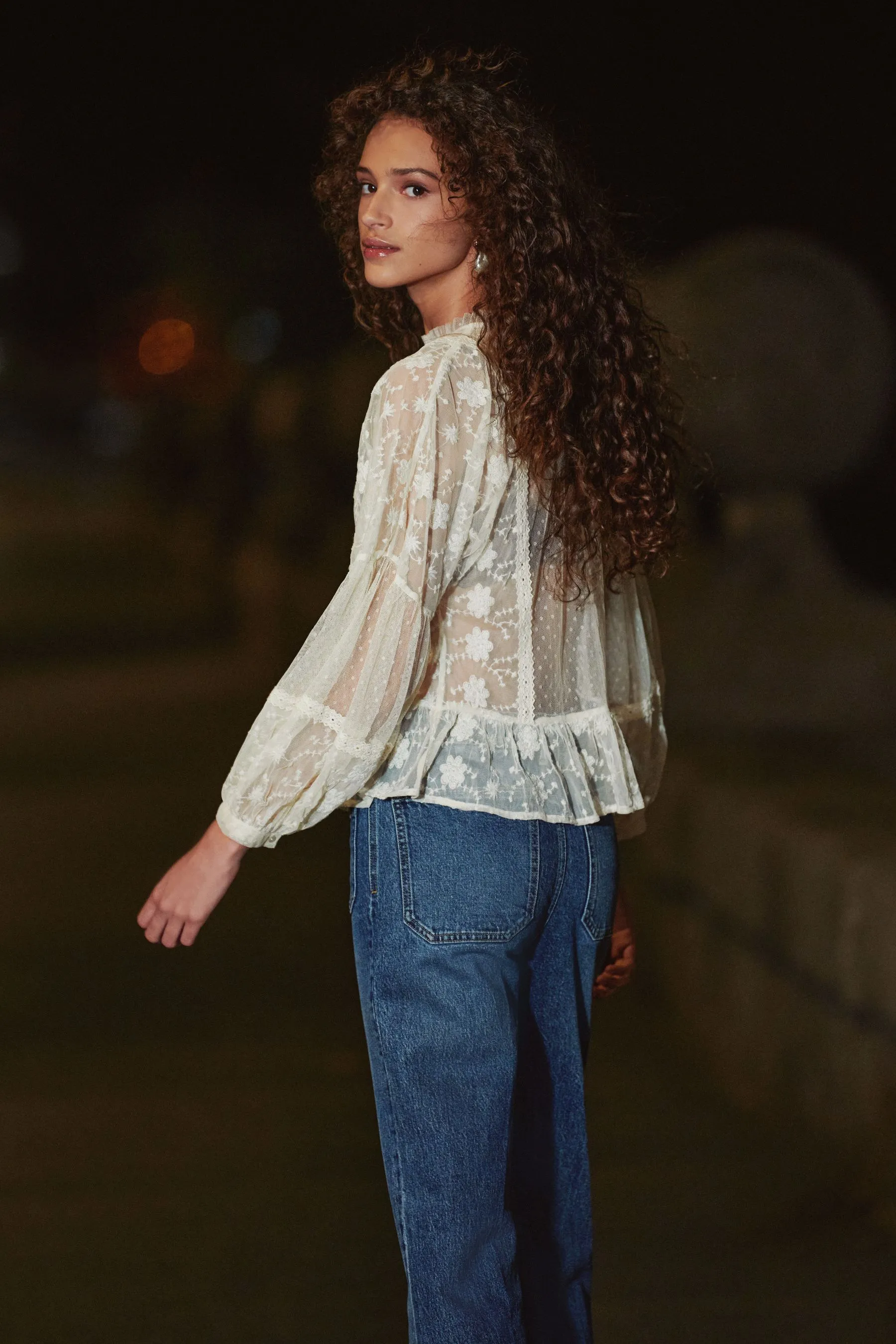Sheer Lace High Neck Blouse    