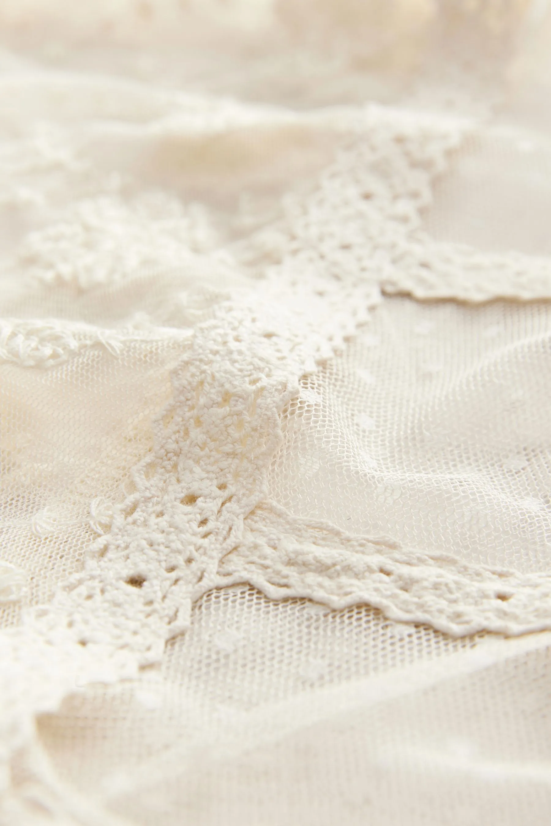 Sheer Lace High Neck Blouse    